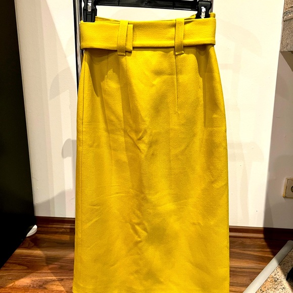 High Wasted Wool Skirt with Belt - Picture 3 of 4